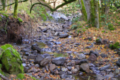 Copeland Creek with basalt armor in channel Fairfield-Osborn Preserve