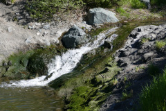 Lichau Creek Entering the Petaluma River