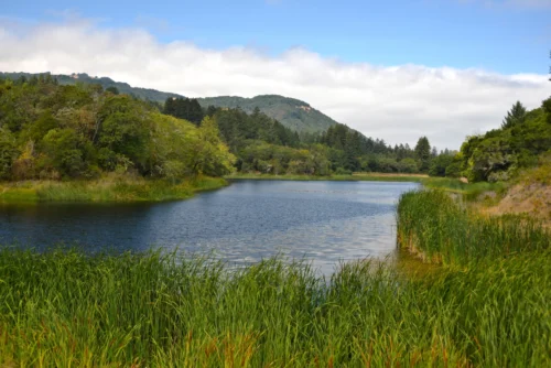 Fern Lake