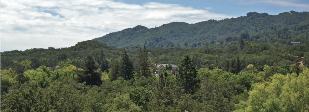 Sonoma Mountain Aerial view at SDC