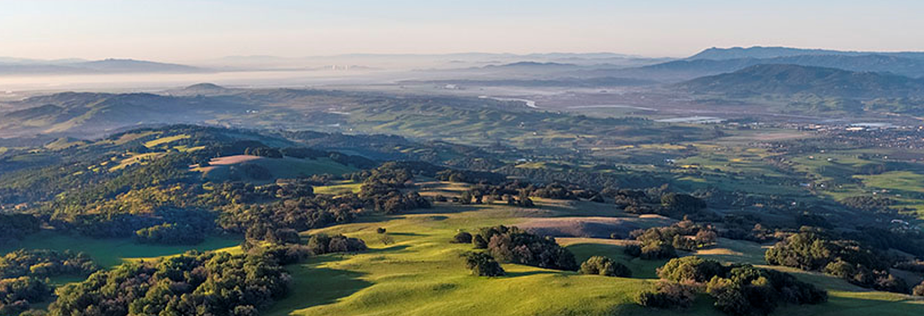 Sonoma Mountain Preservation Main Page Banner